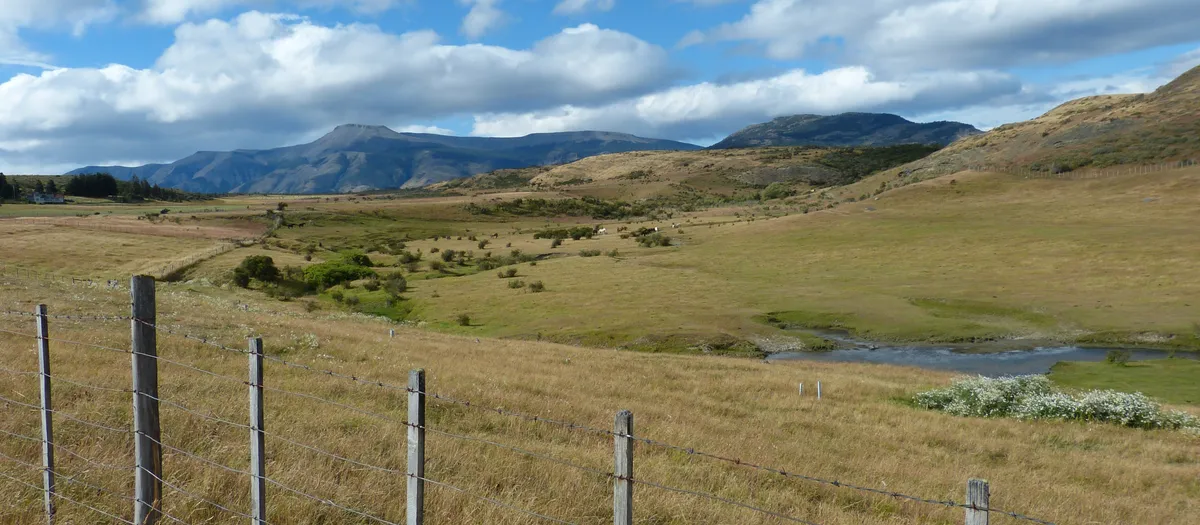 Cerco y estructura de campo en parcela del sur de Chile