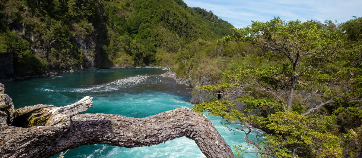 Acumulación de agua y paisaje del sur de Chile