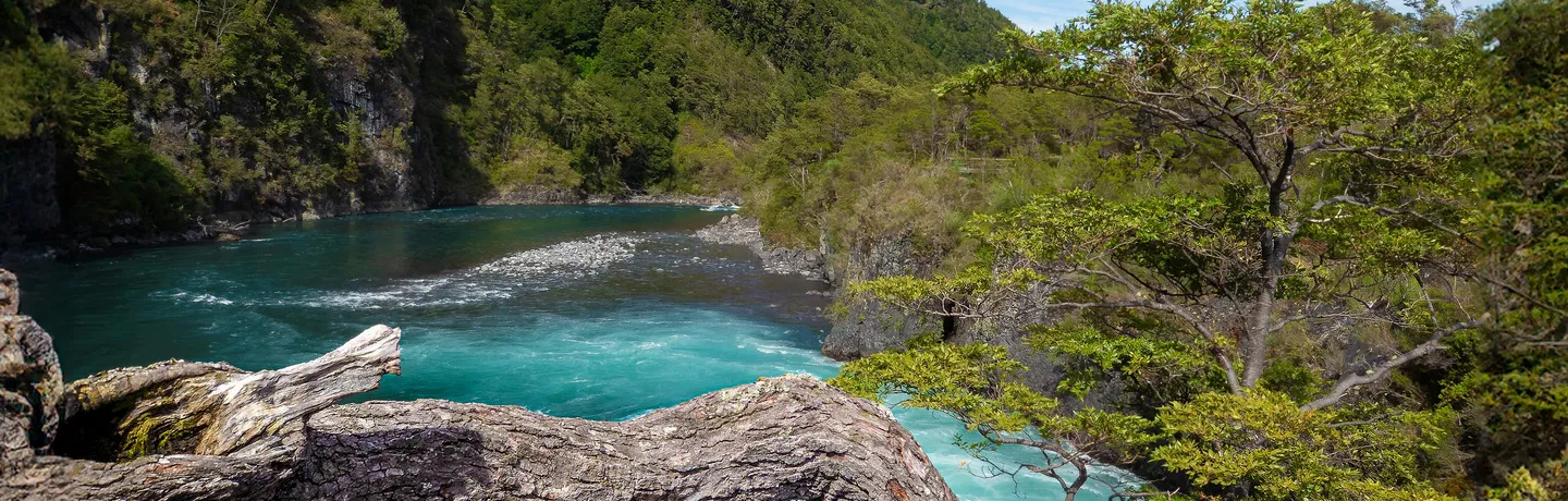 Río de aguas claras en el sur de Chile rodeado de vegetación nativa